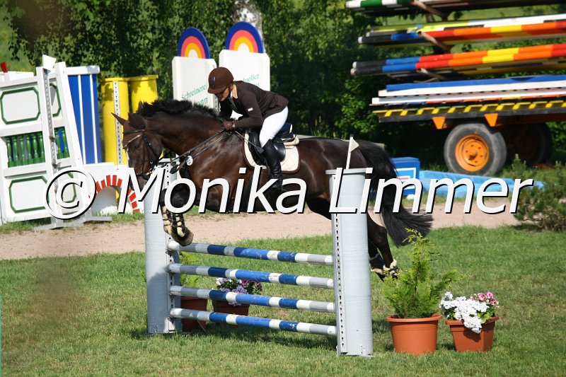 105M1718_Zorro L_Stil_A.JPG